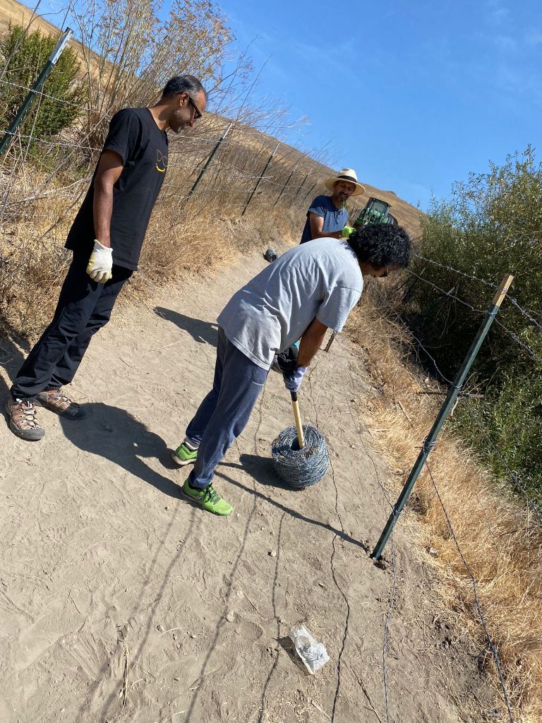 Fencing cow path photo 4