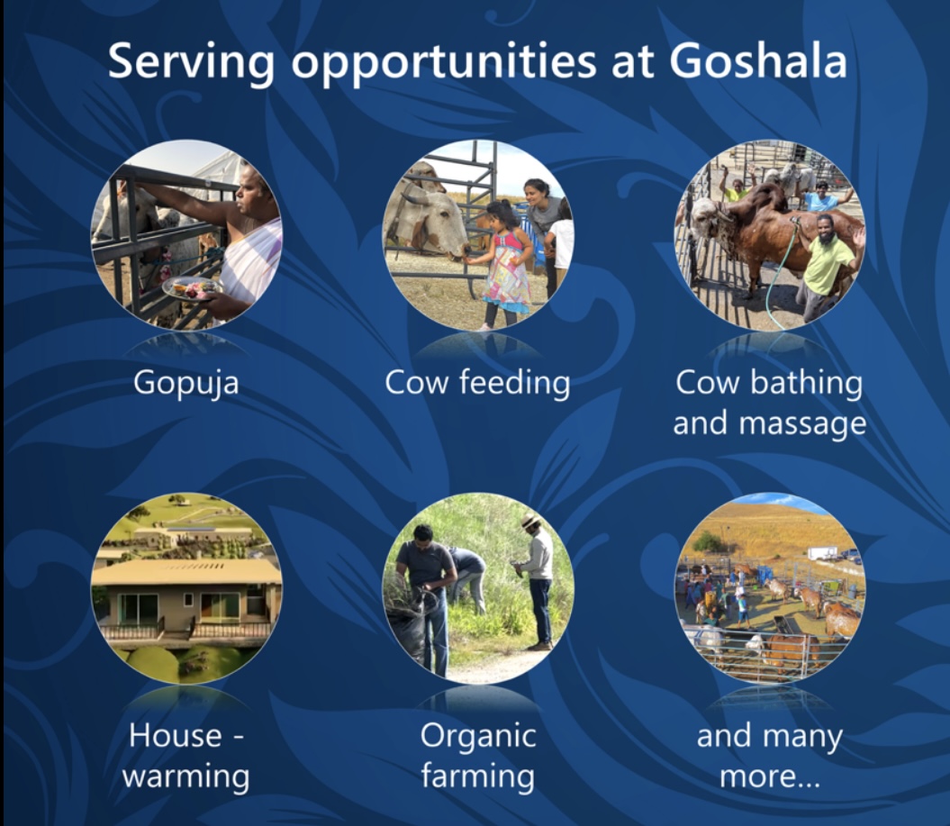 Services from Goshala at Sri Krishna Balaram Goshala